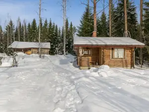 Hevonkuusi