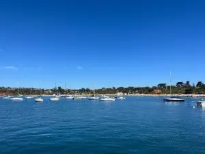 Charlie sweet home at Mornington Peninsula