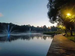 Zielony Apartament z Widokiem na Jezioro