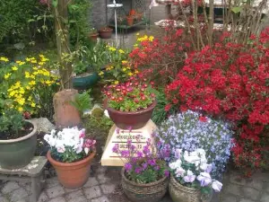 B&B Aan Het Park Eindhoven