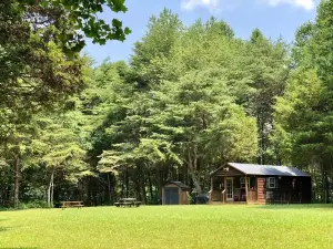 Cozy Cabin w/firepit, tucked in the woods on a Kentucky farm. Nature awaits!