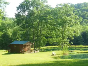 Rustic cabin, solarpower, heated, hiking, 3ponds,wildlife, dark skies/stargazing