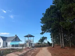 Biệt thự đối diện rừng thông