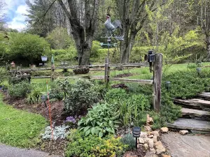 The Ashe Farm