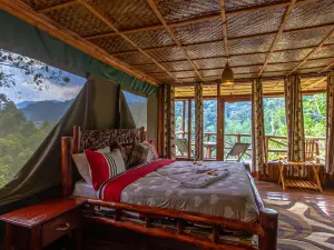 Rushaga Gorilla Lodge