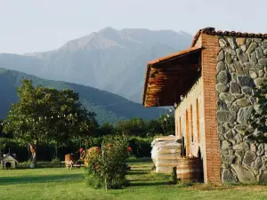 Chubini Winery & Cabins