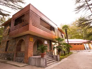 Wald Hotel Lagodekhi Rooms