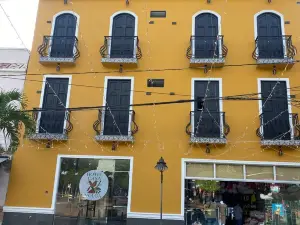 Hotel Casa Volga