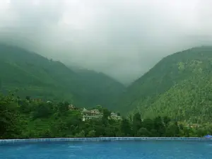 Araiya Palampur
