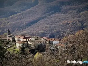 Camping Grondola - FedericoFarm
