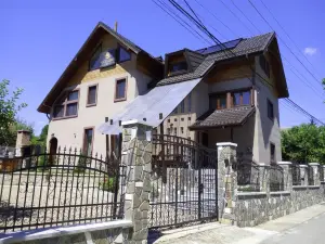 Vila Slanic