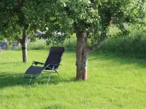 Ferienwohnung am Kugelbaum
