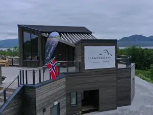 Torgarhaugen