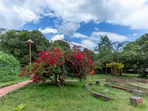 Mara Chui Eco-Resort