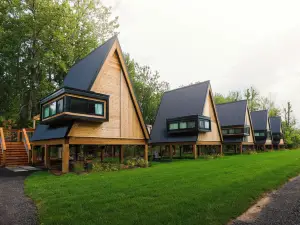 Finger Lakes Treehouse