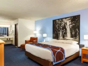 Super 8 by Wyndham Susanville