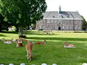 Bed en Breakfast Studio Raif - Authentiek en Sfeervol Overnachten