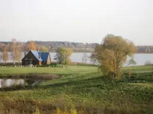 Zīdu Kolns