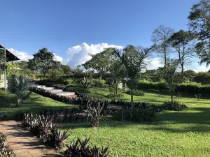 Finca Hotel Brasilia
