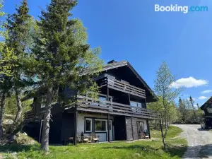 Ski Inn/Out - 4-Room Apartment w/3 Bedroom