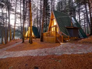 Bungalow with Balcony in Nature Near Dipsiz Lake