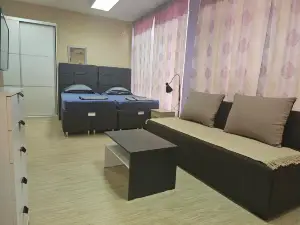 LENI Apartman u centru Zajecara