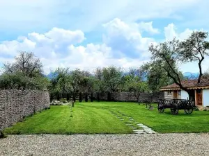 Joyard - Pensiune & Parc