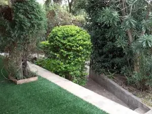 Hospedaje Silvia