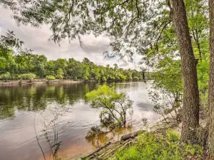 Suwannee Riverfront Home Grill, Near Springs