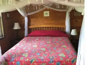 Peaceful and private cabin overlooking the Little Buffalo River.