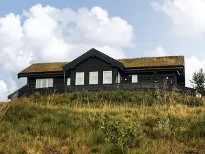 Awesome Home in Tyinkrysset with Sauna, 4 Bedrooms and WiFi