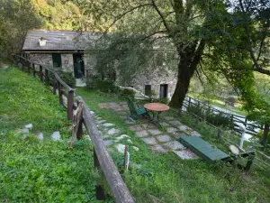 Il Mulino - Appartamento Terra