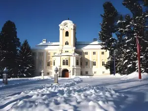 Schlosshotel Rosenau Superior