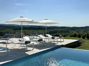 Laqua Vineyard