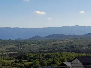 Vista