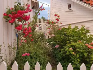 Summer city nr 1 in  south Norway.  Apartment right in the center of the town!