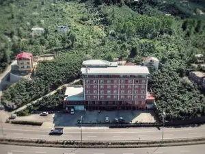 아마존 아레티아스 호텔