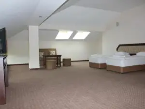 Hotel Podkovata