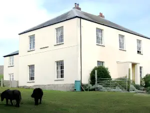 Lamphey Studios