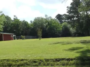 Pure Country, Plenty of Space & Trees, Relaxing!