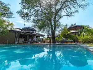 Safari Moon Luxury Bush Lodge