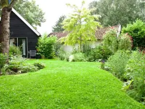 Theetuin en B & B 'De Theetuin'