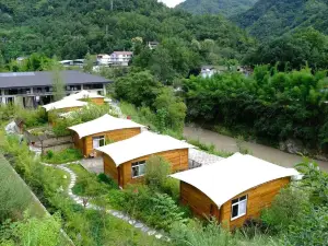 Pingwu Zen Tea Qinggu Homestay