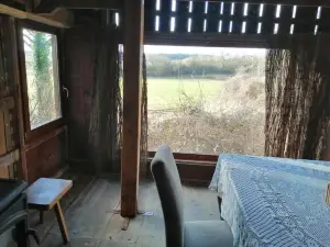 The Unusual Cabin of Belle Vue