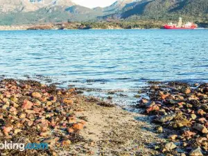 Gorgeous Home in Førde I Hordaland