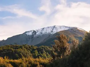 Totara Lodge - Unwind, Relax & Enjoy - Mt Lyford