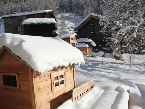 Haus Bergdohle
