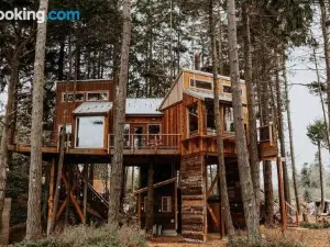 Treehouse-Small Eagles Perch over the Water