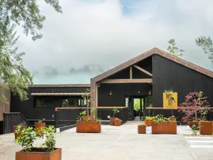 Hôtel le Tuit-Tuit