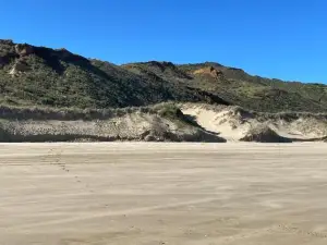 West Coast Wonder 4 Minutes Drive to Glinks Gully